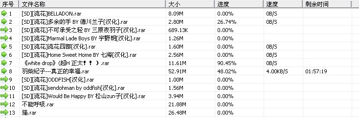 RaySource下载器 V2.5.0.1 绿色版图5